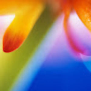 Meet your Posher, Michaela